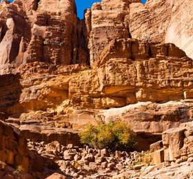 Bedouin Gate Camp  в Акабе