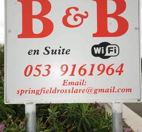 Туры в Springfield B & B  в Ирландии