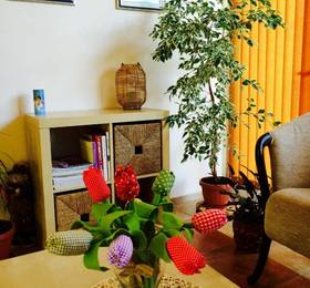 Отдых в Family Hotel Efos  - Болгария, Варна
