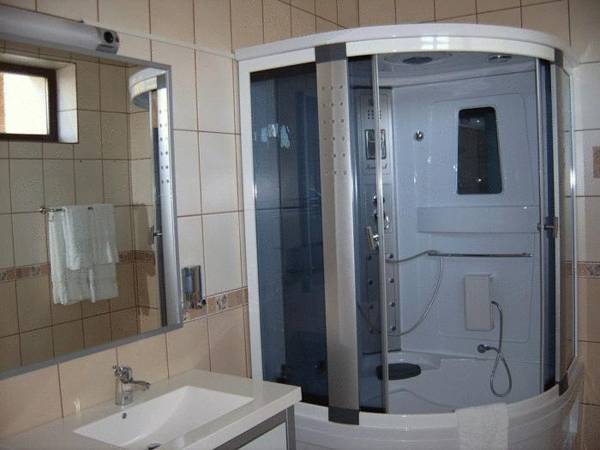 Pension Ambiance  3* Румыния, Сучава