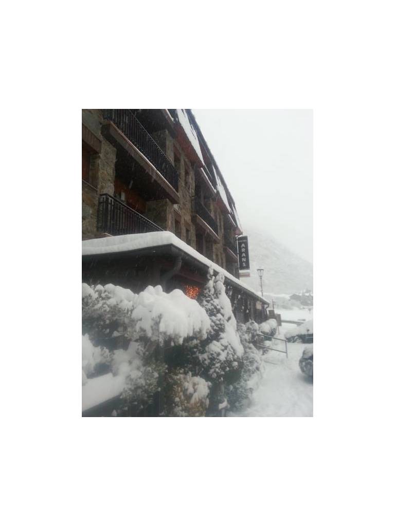 Aparthotel Arans 