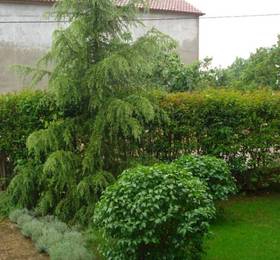 Отдых в Apartments Xenia  - Хорватия, Задар