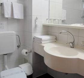 Туры в New Hotel Egreta  в Румынии