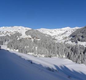 Отдых в Hotel Alpenblume - Австрия, Форарльберг