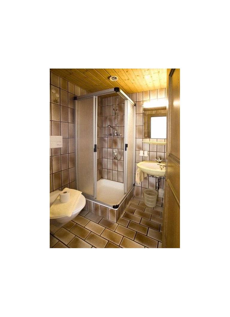 Hotel Rosenegger 