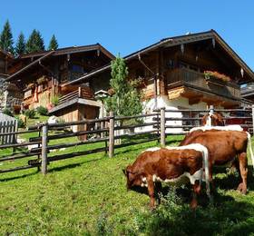 Отдых в Almdorf Flachau - Австрия, Зальцбург