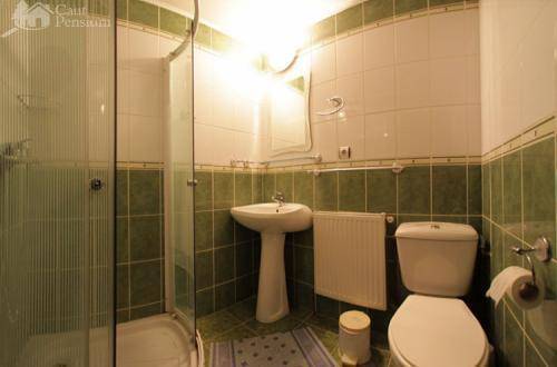 Pension Dariana  2* Румыния, Сучава