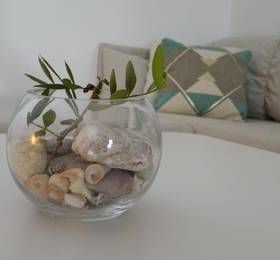 Apartments Kate  в Шипане