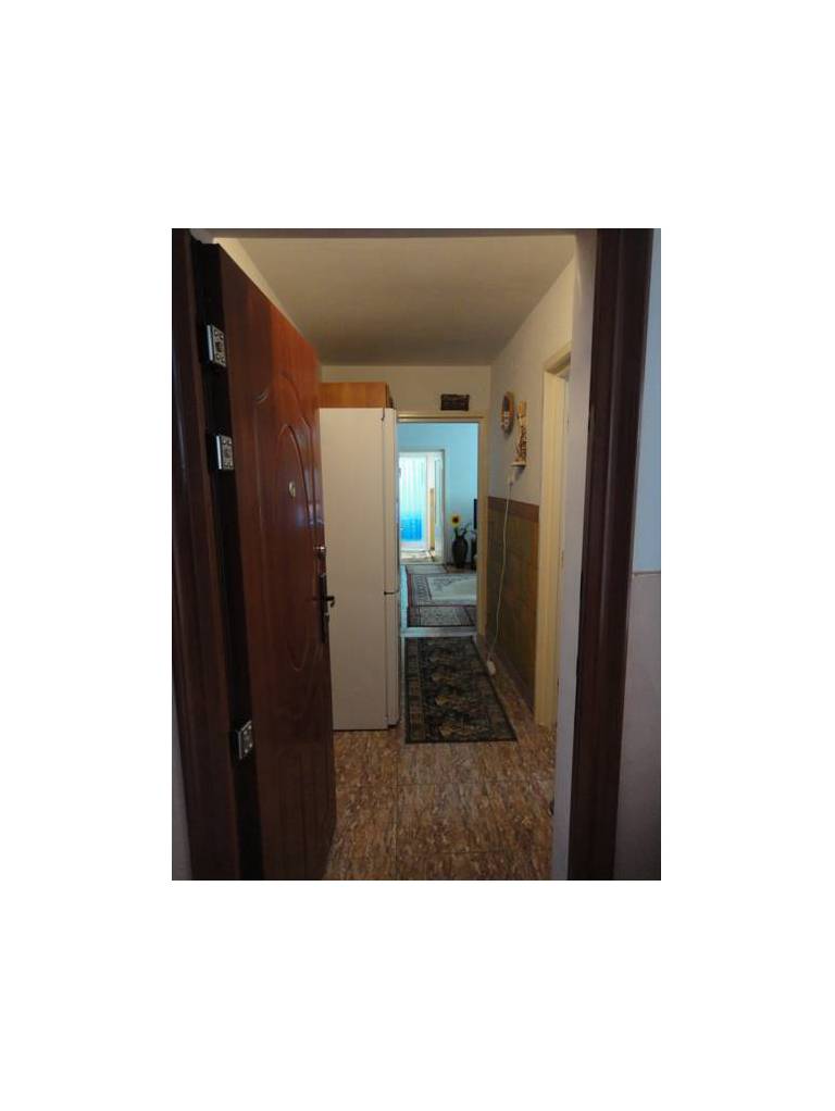 Sunny Apartment 