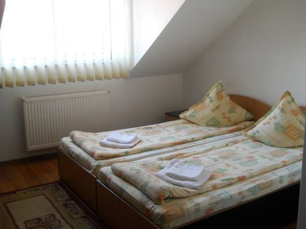 Pensiunea Diana  2* Румыния, Брашов