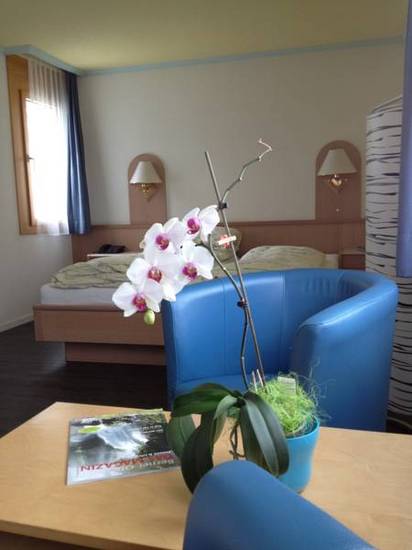 Hotel Meiringen 3* Швейцария, Берн