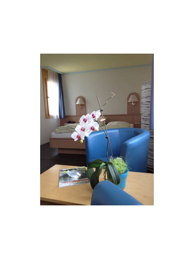 Hotel Meiringen 
