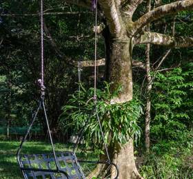 Отдых в Epiphyte B & B  - Австралия, Дэинтри