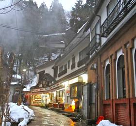 Туры в Schanze Nozawa  в Японии