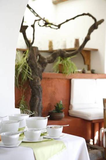 Finca Adalgisa  Аргентина, Мендоса