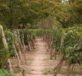 Finca Adalgisa  в Мендосе