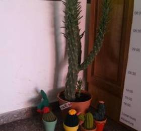 Hostel Macondo  в Мендосе