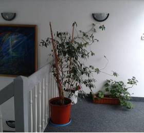 Туры в Villa Helvetia  в Румынии