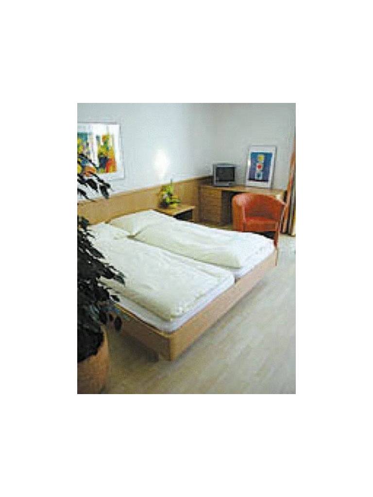 Hotel Rebstock 