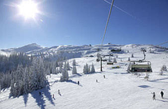 Flachau Wiese 