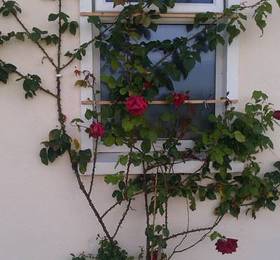 Отдых в Abbeyview B&B - Ирландия, Типперэри