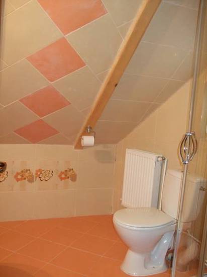 Vila Iancului  3* Румыния, Брашов