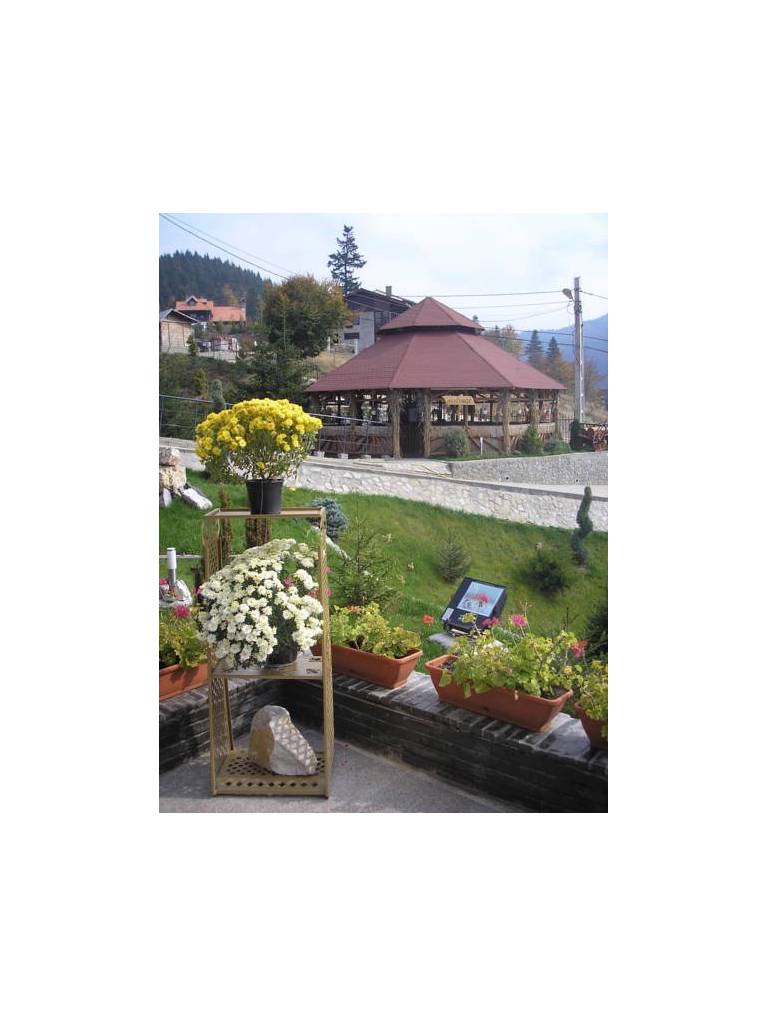 Hotel Cautis 