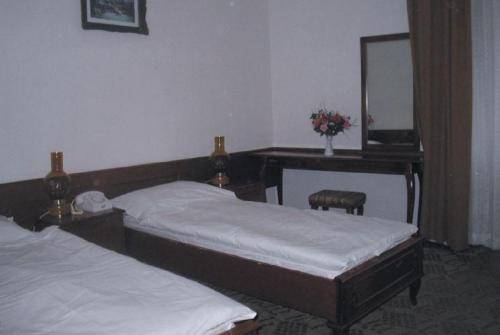 Hotel Bradet  2* Румыния, Трансильвания