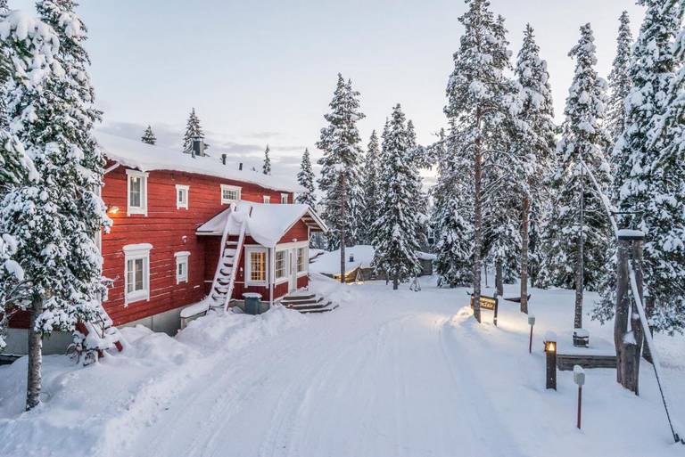 Ruka Safaris 