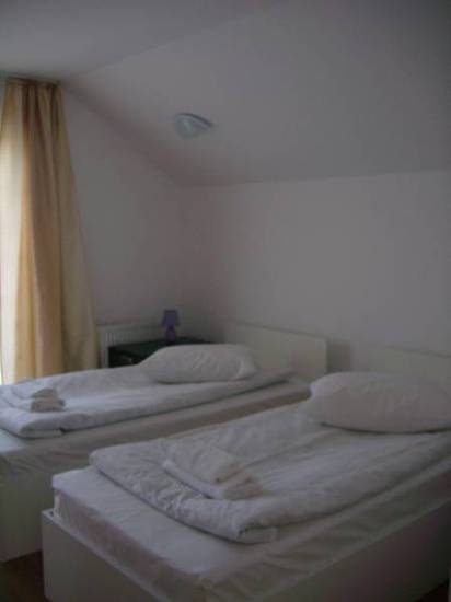 Bran Hostel  2* Румыния, Брашов
