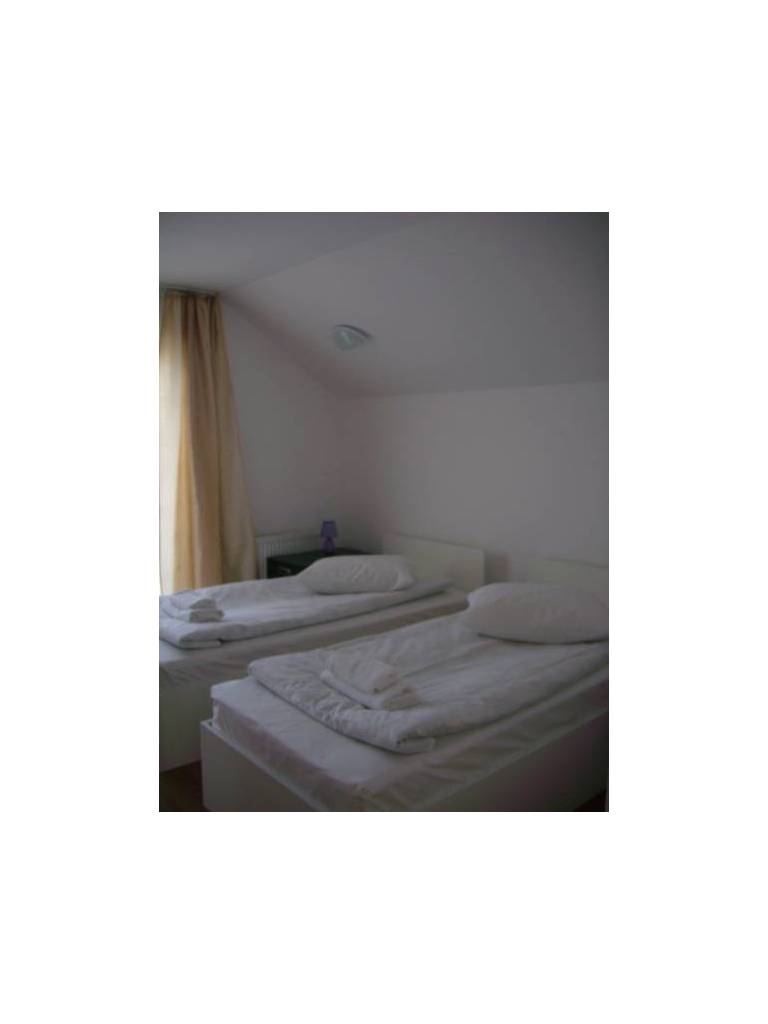 Bran Hostel 