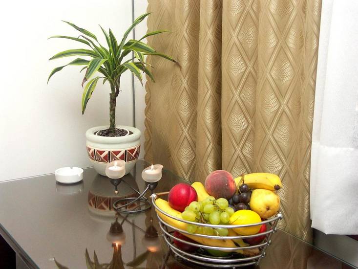 Hotel Vicko 3* Хорватия, Задар