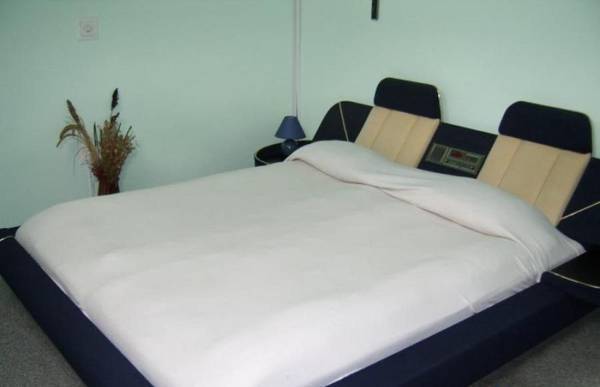 Vila Monica  4* Румыния, Трансильвания