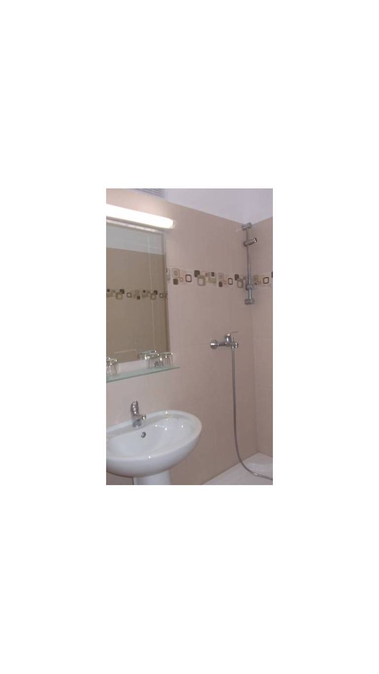 Hotel Mures 