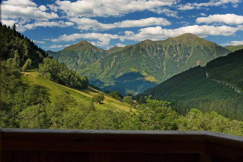Felding Alm 4* Австрия, Зальцбург