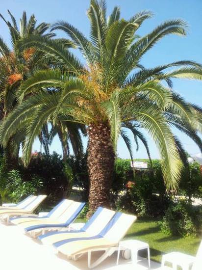 Palma-Rosa  3* Турция, Кемер