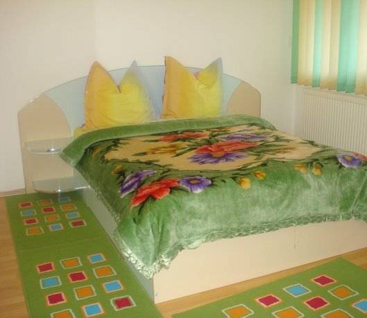 Vila Ioana  2* Румыния, Брашов