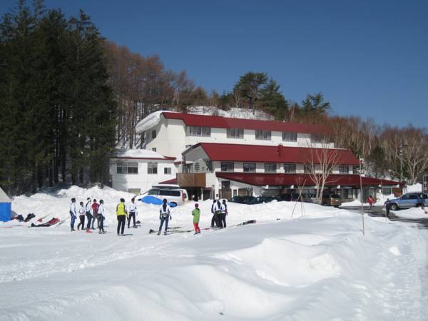 Sachinoyu 