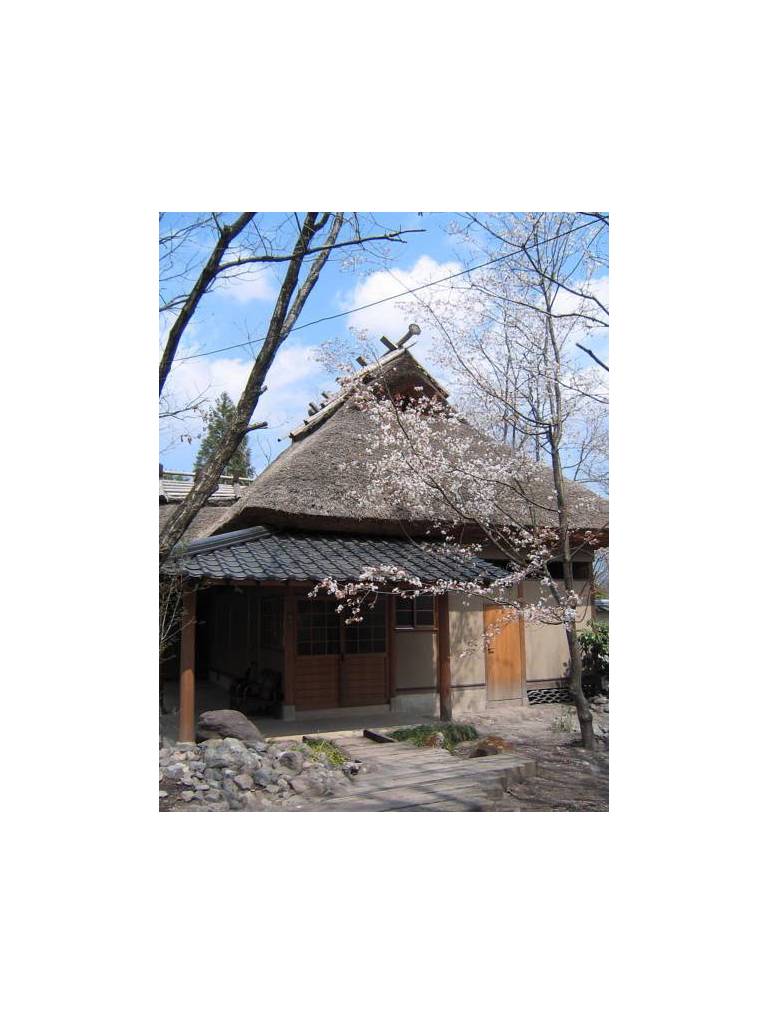 Warabino 
