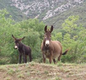 Holiday Home Cote Bergerie Boisset Et Gaujac  в Андюзе