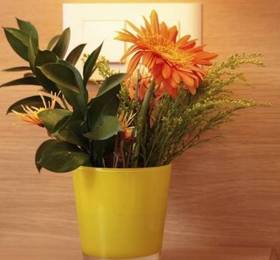 Отдых в Holiday Home Les Lauriers Roses Cap D Agde V  - Франция, Кап-д'Агд
