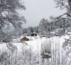 Отдых в Holiday Home Les Bois Jolis Xonruptlongemer  - Франция, Ксорюпт-Лонжме