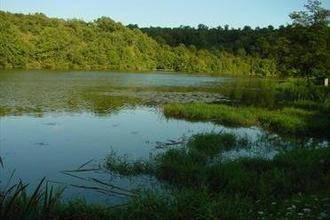 Holiday Home Le Champ Du Loup Chantonnay I  3* Франция, Шантони