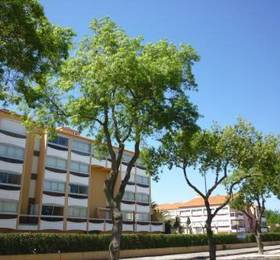 Отдых в Apartment Golfes Clairs Argeles sur Mer  - Франция, Аржель-сюр-Мер