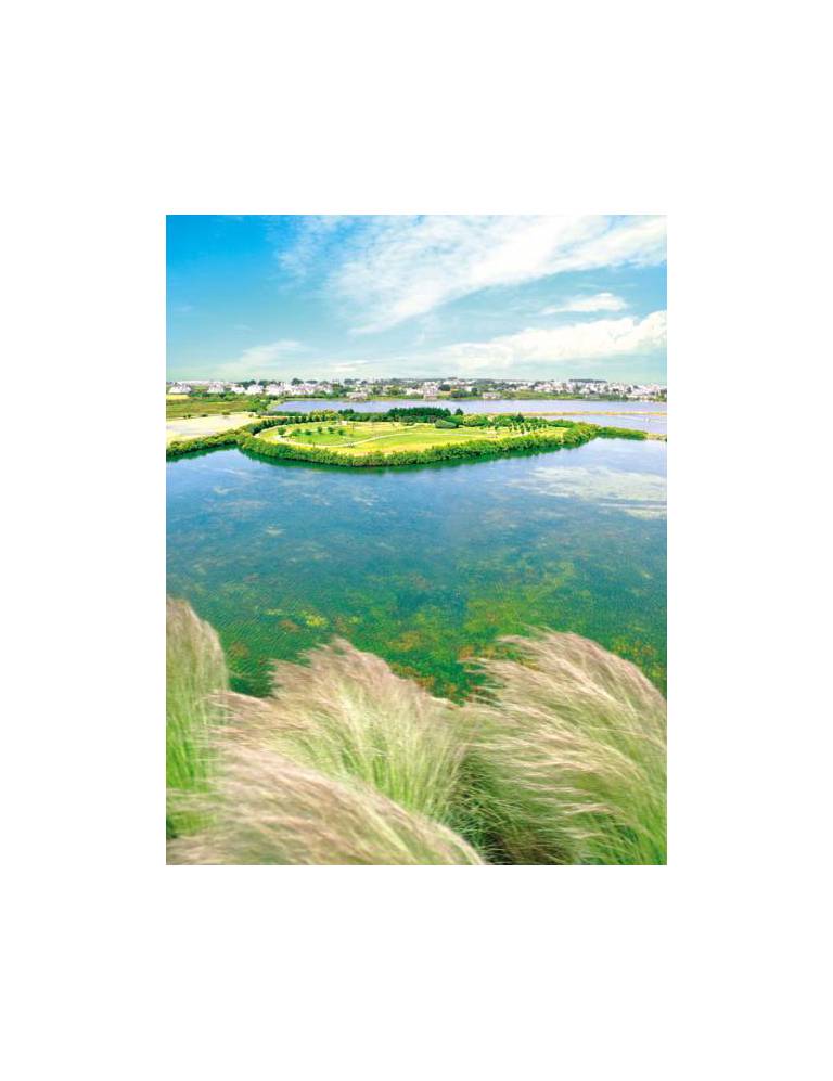Carnac Thalasso & Spa Resort hotel 4* 