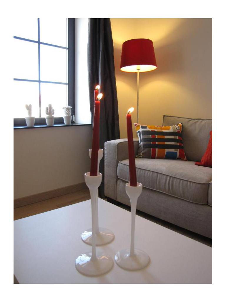Les Mini-lofts de Paul et Virginie 