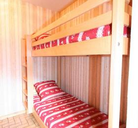 Отдых в Appartement Le Balcon des Alpes - Франция, Шатель