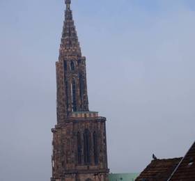 Туры в Studio de tourisme Austerlitz  в Франции