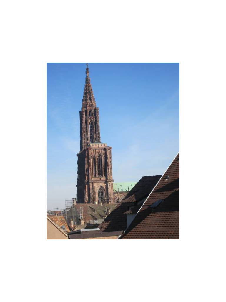Studio de tourisme Austerlitz 