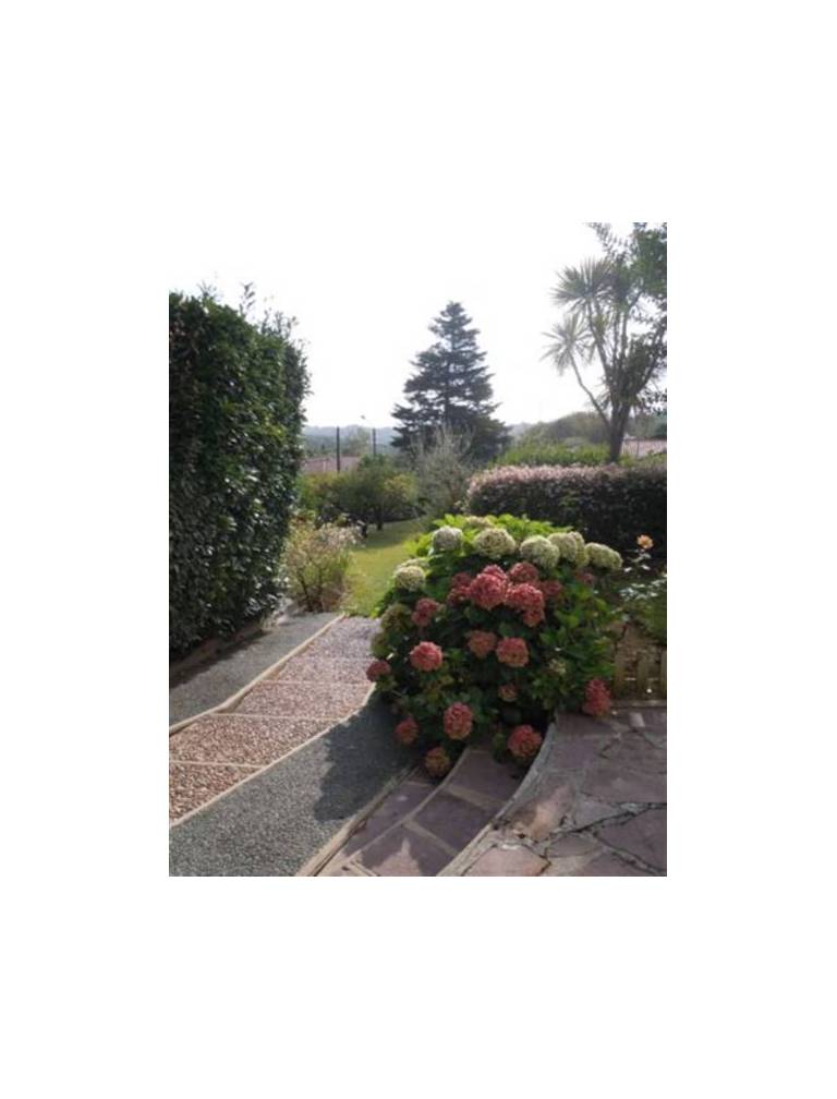 Appartement Villa Itsas Mendi 